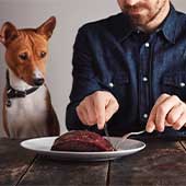 Alimentos ricos en hierro para perros ¡Los recomendados!