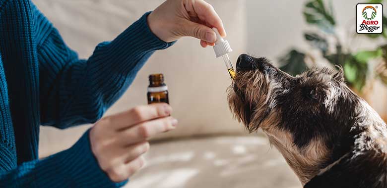 beneficios de los protectores hepaticos para perros