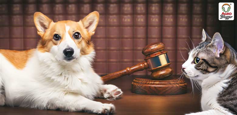 ley de tenencia de mascotas