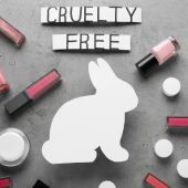 Victoria para los animales: Chile prohíbe el testeo cosmético