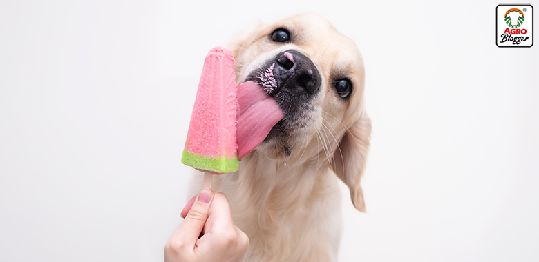 beneficios de los snacks congelados para perros y gatos