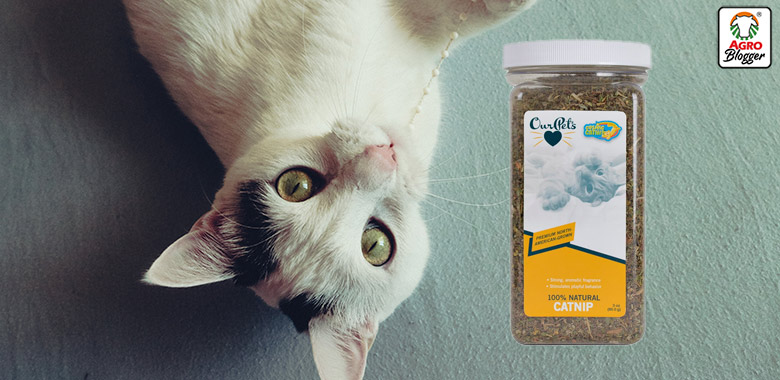 catnip ourpets