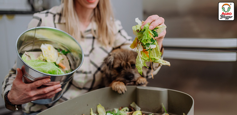 dieta casera para mascotas cocinar ingredientes por separado