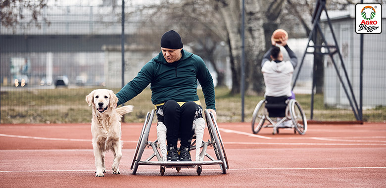 perros de movilidad asistida