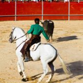 Un caballo es atacado por un toro en corralejas de Córdoba