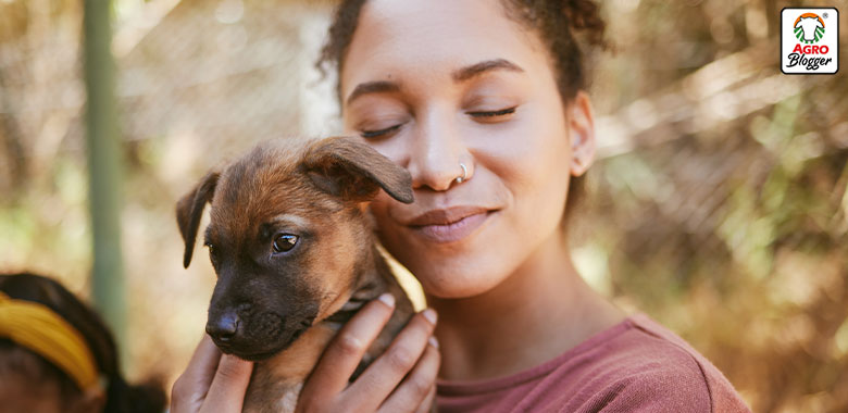 adopcion objetivos de la tenencia responsable de mascotas