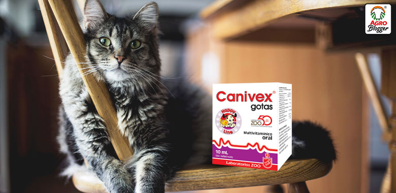 canivex multivitaminico oral para gatos