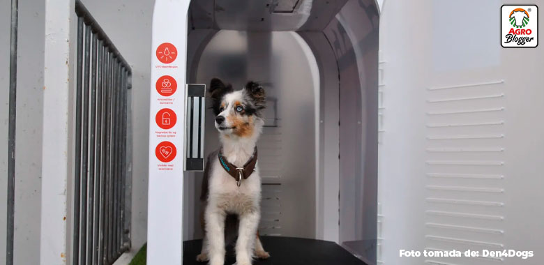 las nuevas casetas para perro en supermercados de bogota