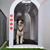 ¿Son una buena idea las nuevas casetas para perro en supermercados de Bogotá?