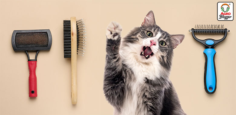 tipos de cepillos para gatos