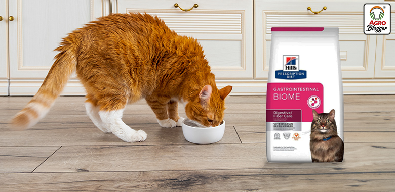 dietas para gatos con problemas digestivos hills gastrointestinal biome
