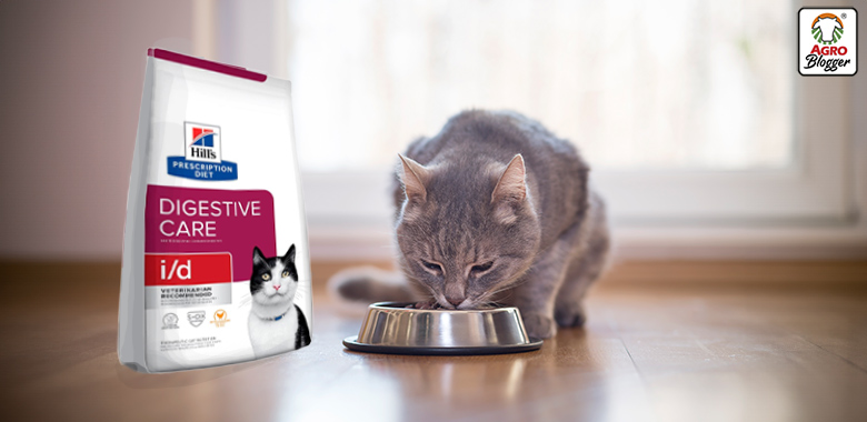 dietas para gatos con problemas digestivos hills id