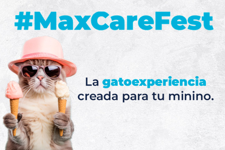 Llegó el evento MaxCare Fest, una gatoexperiencia creada para tu minino