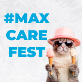 Llegó el evento MaxCare Fest, una gatoexperiencia creada para tu minino