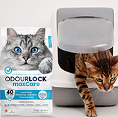 Conoce la arena para gatos Odourlock Maxcare ¡Review!