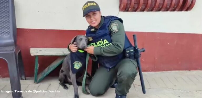 perro rescatado por una auxiliar de policia en antioquia