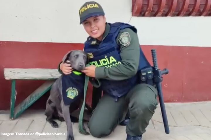 Firulais, el perro rescatado por una auxiliar de policía en Antioquia