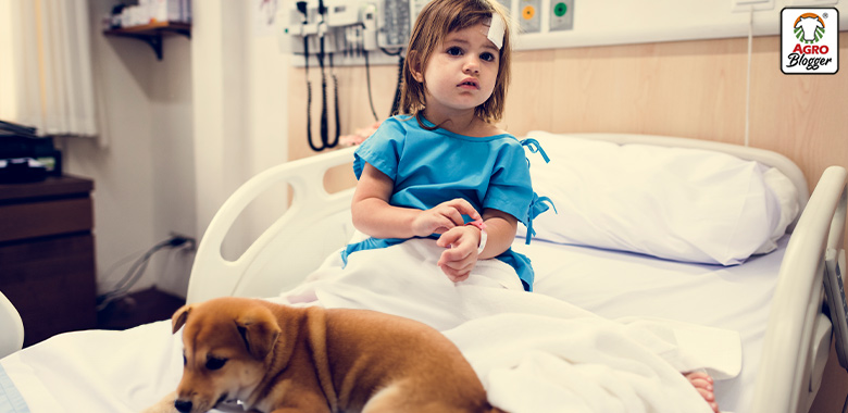 visita terapeutica de mascotas en hospitales